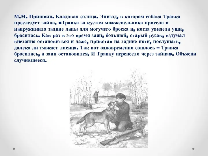 М.М. Пришвин. Кладовая солнца. Эпизод, в котором собака Травка преследует зайца. «Травка