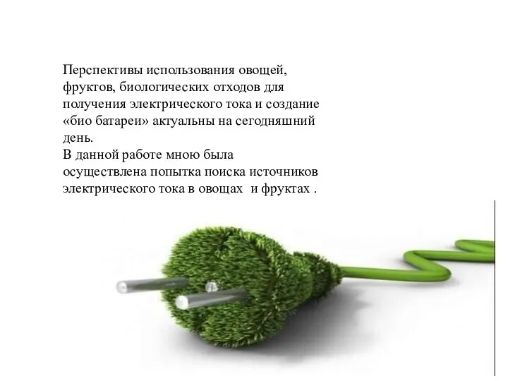 Перспективы использования овощей, фруктов, биологических отходов для получения электрического тока и создание