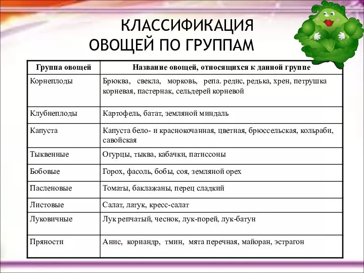 КЛАССИФИКАЦИЯ ОВОЩЕЙ ПО ГРУППАМ