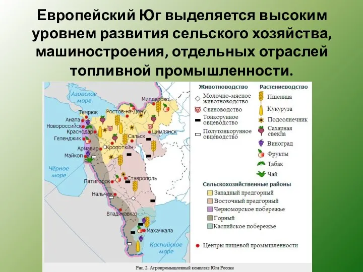 Европейский Юг выделяется высоким уровнем развития сельского хозяйства, машиностроения, отдельных отраслей топливной промышленности.