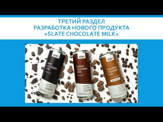 ТРЕТИЙ РАЗДЕЛ РАЗРАБОТКА НОВОГО ПРОДУКТА «SLATE CHOCOLATE MILK»