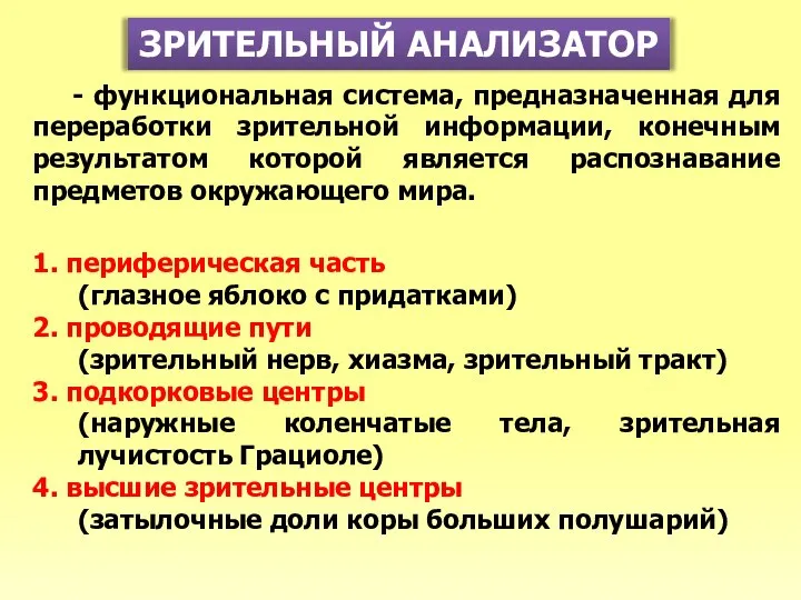 ЗРИТЕЛЬНЫЙ АНАЛИЗАТОР - функциональная система, предназначенная для переработки зрительной информации, конечным результатом