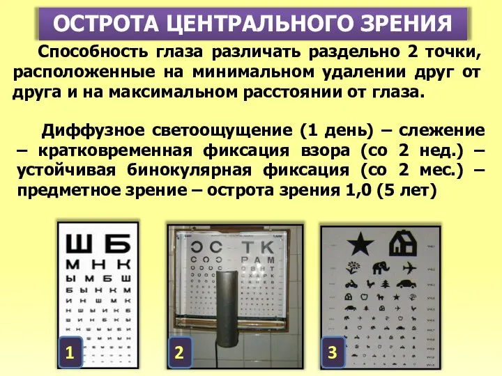 ОСТРОТА ЦЕНТРАЛЬНОГО ЗРЕНИЯ Способность глаза различать раздельно 2 точки, расположенные на минимальном