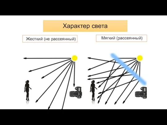 Характер света Жесткий (не рассеянный) Мягкий (рассеянный)