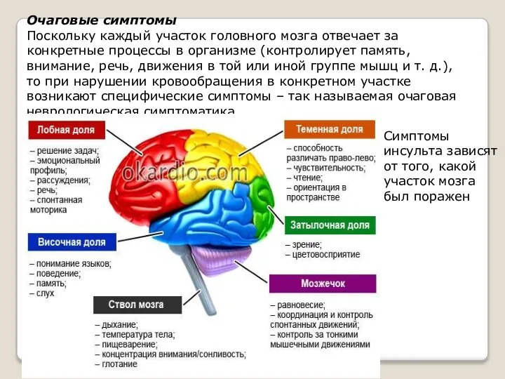 Очаговые симптомы Поскольку каждый участок головного мозга отвечает за конкретные процессы в