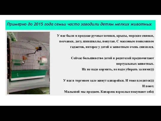 Примерно до 2015 года семьи часто заводили детям мелких животных У нас