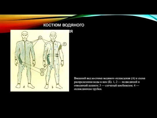 костюм водяного охлаждения Внешний вид костюма водяного охлаждения (А) и схема распределения