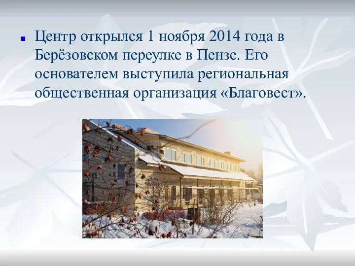 Центр открылся 1 ноября 2014 года в Берёзовском переулке в Пензе. Его