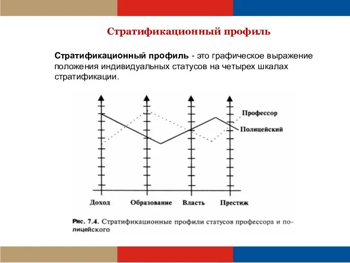 Стратификационный профиль Стратификационный профиль - это графическое выражение положения индивидуальных статусов на четырех шкалах стратификации.