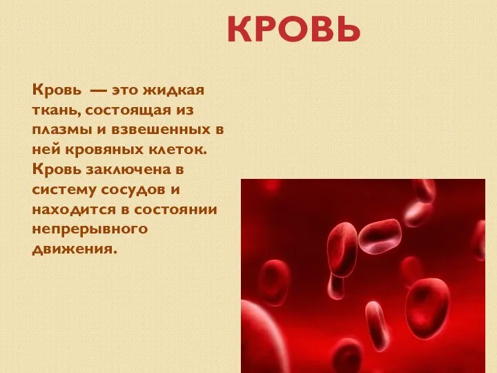 КРОВЬ Кровь — это жидкая ткань, состоящая из плазмы и взвешенных в