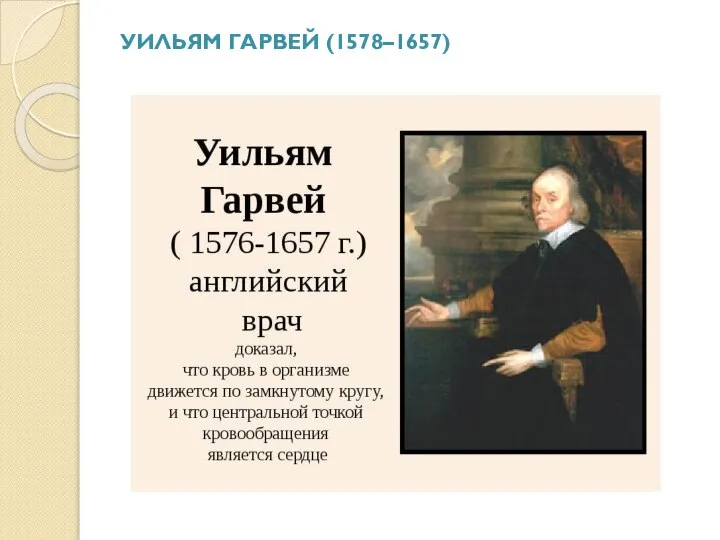 УИЛЬЯМ ГАРВЕЙ (1578–1657)