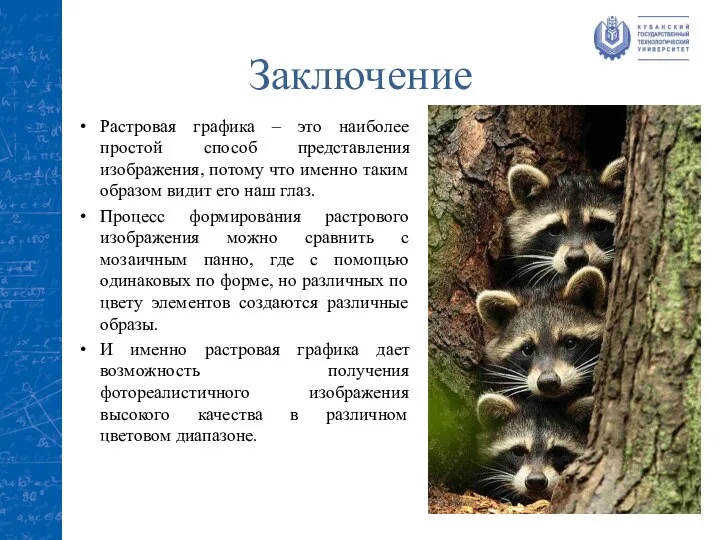 Заключение Растровая графика – это наиболее простой способ представления изображения, потому что