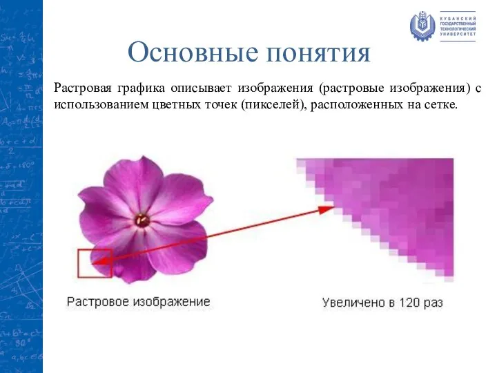 Основные понятия Растровая графика описывает изображения (растровые изображения) с использованием цветных точек (пикселей), расположенных на сетке.