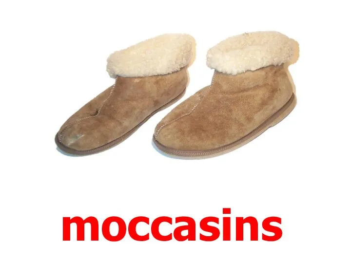 moccasins