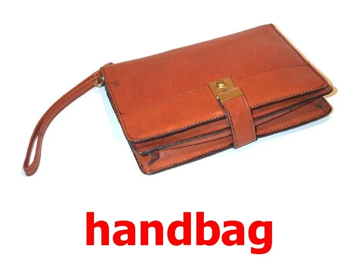 handbag