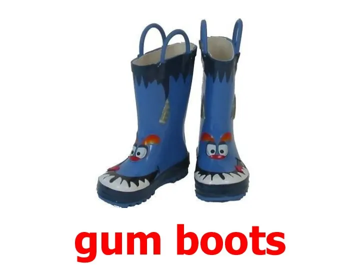 gum boots