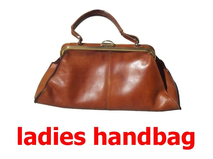 ladies handbag