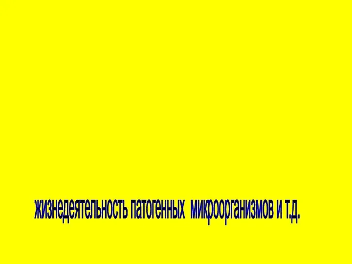 Социальные - плотность населения, жилищные условия, материальное благополучие, санитарно- коммунальное устройство поселений