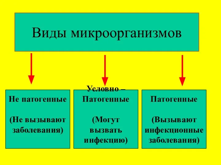 Виды микроорганизмов Не патогенные (Не вызывают заболевания) Условно – Патогенные (Могут вызвать