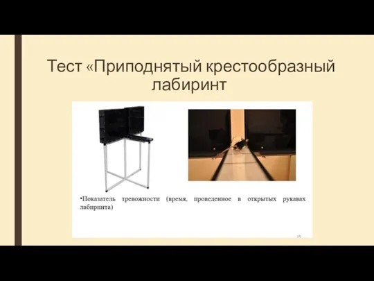 Тест «Приподнятый крестообразный лабиринт