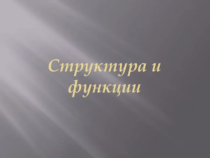 Структура и функции