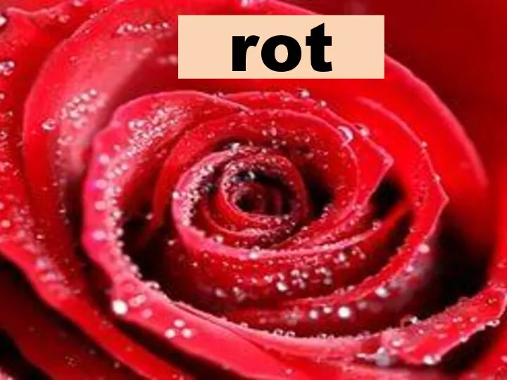 rot