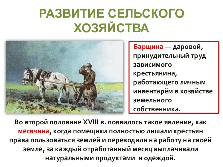 РАЗВИТИЕ СЕЛЬСКОГО ХОЗЯЙСТВА Во второй половине XVIII в. появилось такое явление, как