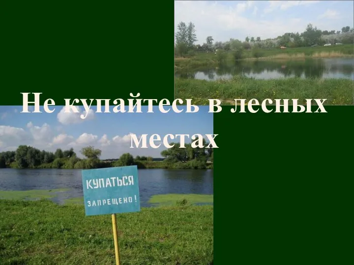 Не купайтесь в лесных местах