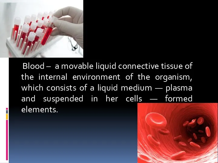 Blood – a movable liquid connective tissue of the internal environment of