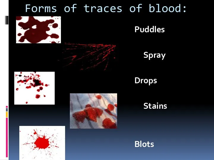 Forms of traces of blood: Puddles Spray Drops Stains Blots