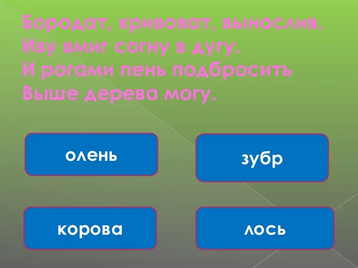 Бородат, кривоват, вынослив, Иву вмиг согну в дугу. И рогами пень подбросить