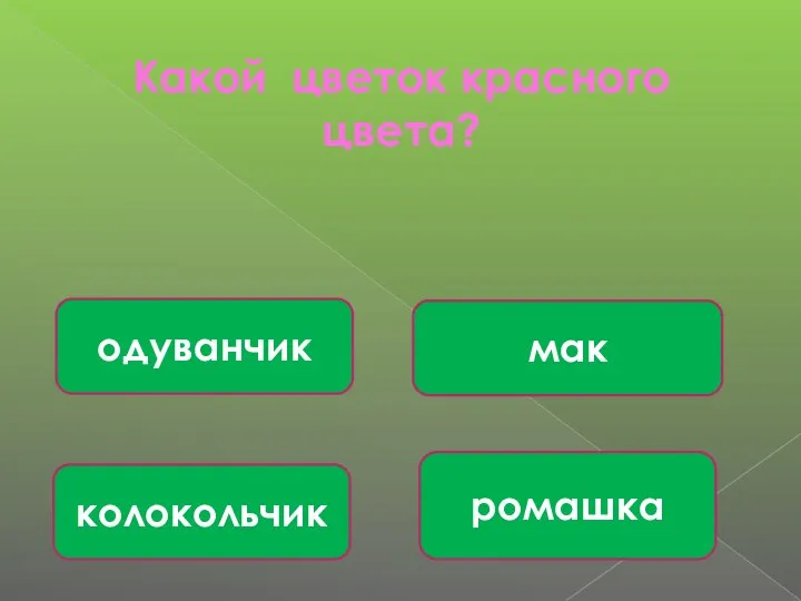 Какой цветок красного цвета? мак ромашка колокольчик одуванчик