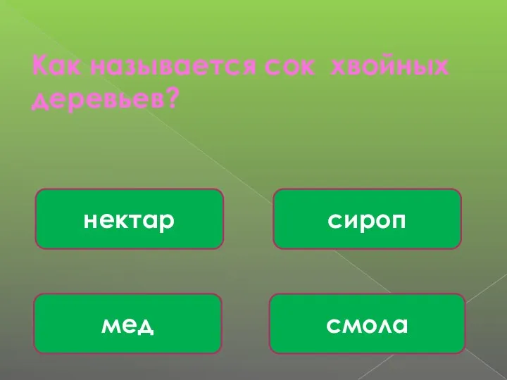 Как называется сок хвойных деревьев? смола сироп мед нектар