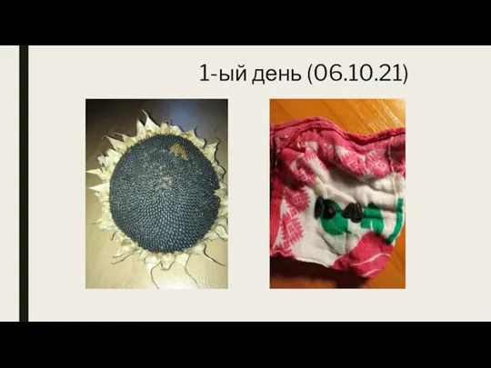 1-ый день (06.10.21)