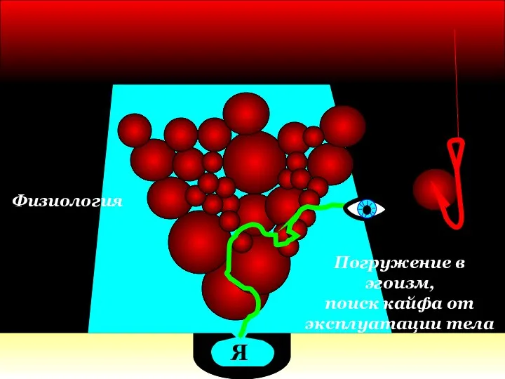 Я Физиология Погружение в эгоизм, поиск кайфа от эксплуатации тела
