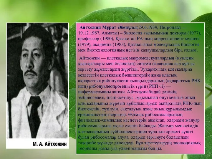 Мұрат Айтхожин Айтхожин Мұрат Әбенұлы(29.6.1939, Петропавл — 19.12.1987, Алматы) – биология ғылымының