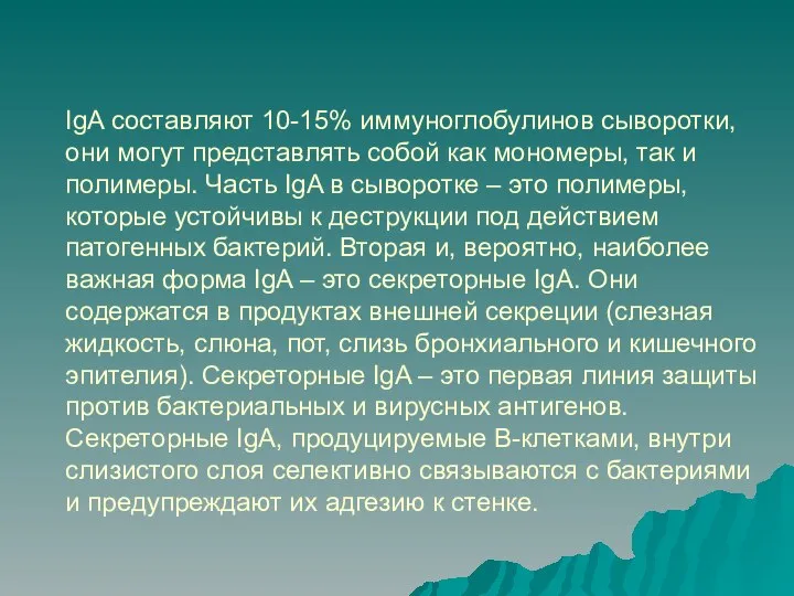 IgA составляют 10-15% иммуноглобулинов сыворотки, они могут представлять собой как мономеры, так