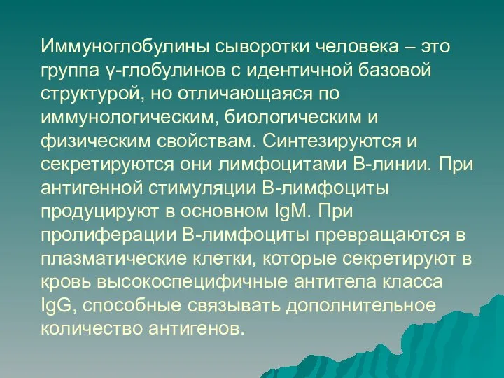 Иммуноглобулины сыворотки человека – это группа γ-глобулинов с идентичной базовой структурой, но