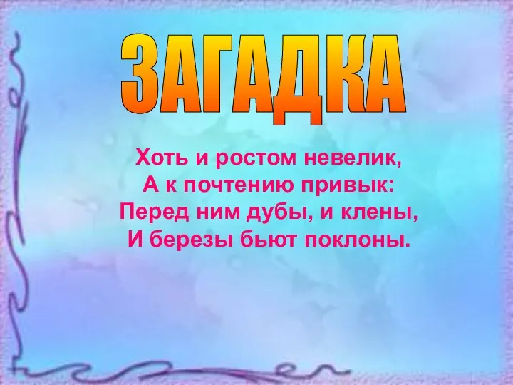 Хоть и ростом невелик, А к почтению привык: Перед ним дубы, и