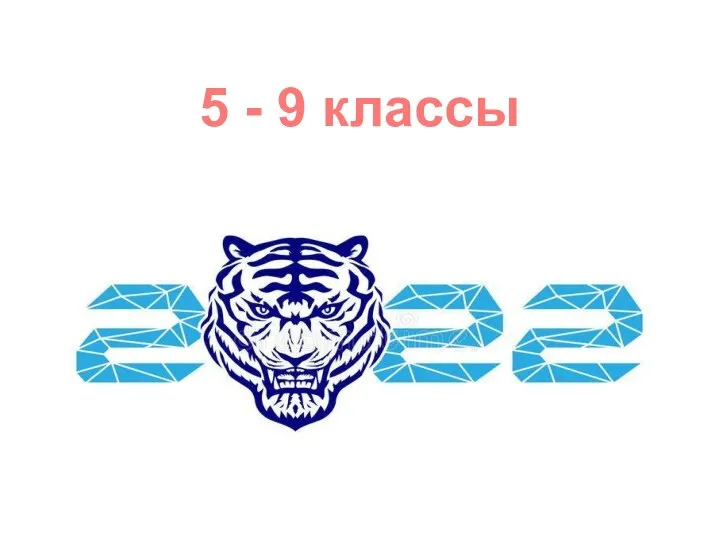 5 - 9 классы