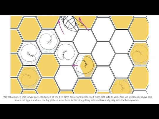 We can also see that larvaes are connected to the bee farm