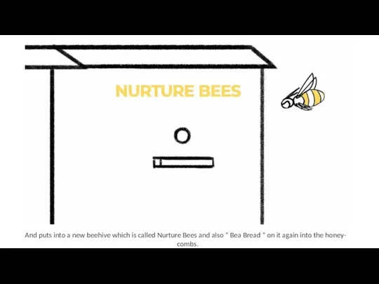And puts into a new beehive which is called Nurture Bees and