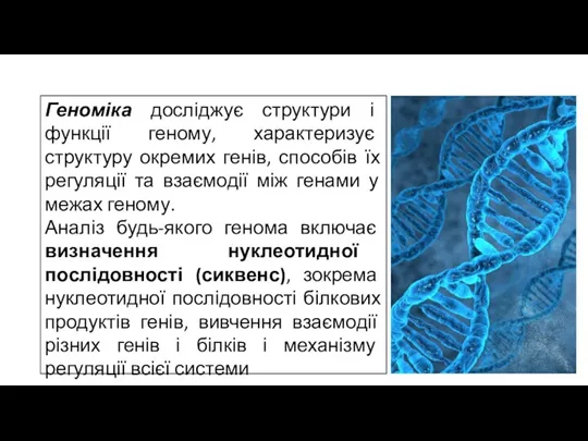 Геноміка досліджує структури і функції геному, характеризує структуру окремих генів, способів їх