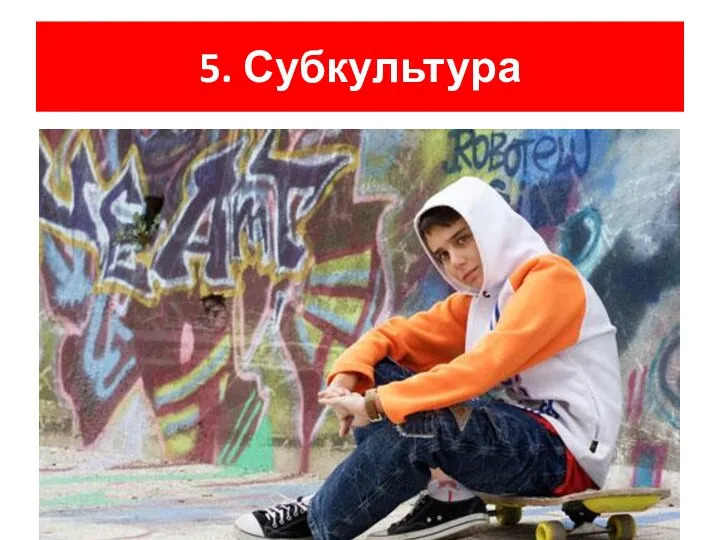 5. Субкультура