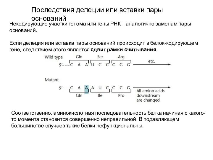 Последствия делеции или вставки пары оснований Некодирующие участки генома или гены РНК