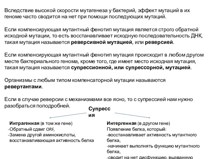 Вследствие высокой скорости мутагенеза у бактерий, эффект мутаций в их геноме часто