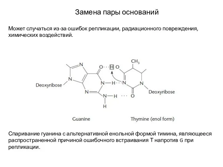 Замена пары оснований Может случаться из-за ошибок репликации, радиационного повреждения, химических воздействий.