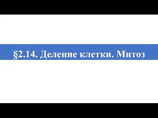 §2.14. Деление клетки. Митоз