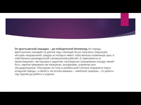 От крестьянской лошадки – до победителей Олимпиад Из породы крестьянских лошадей за