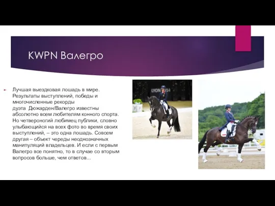 KWPN Валегро Лучшая выездковая лошадь в мире. Результаты выступлений, победы и многочисленные